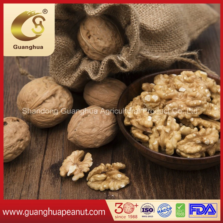 Hot Sale Grade AAA Walnut in Shell (Origin: China)