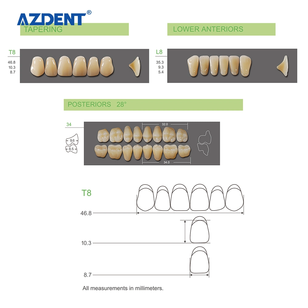 Los dientes de resina de polímero sintético dental