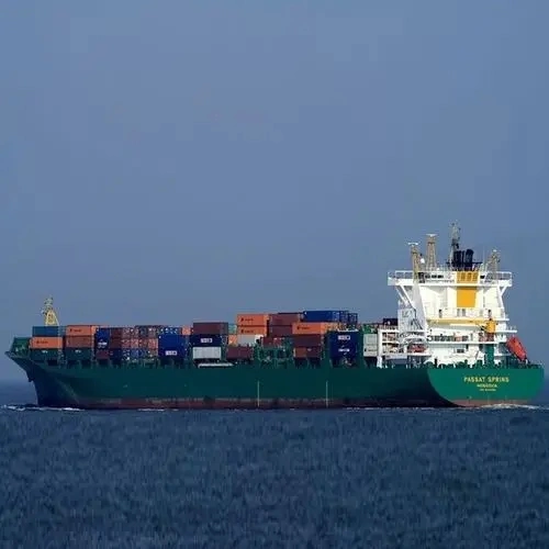 The Cheapest Sea Freight to Oran Port From Tianjin, Container Freight Service, Logistics Service