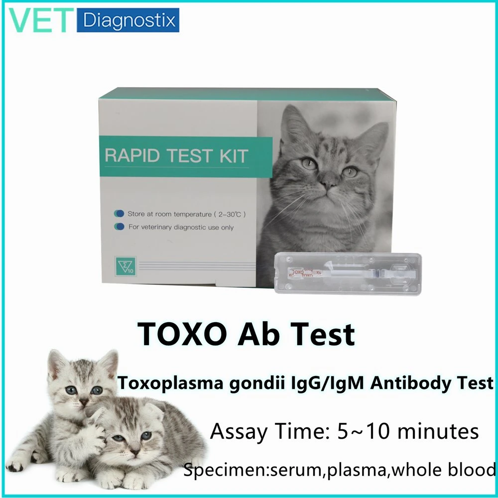 Toxo Rapid Test Kit Toxoplasma Ab Igm/Igg Test Strip Toxoplasma Test Kit