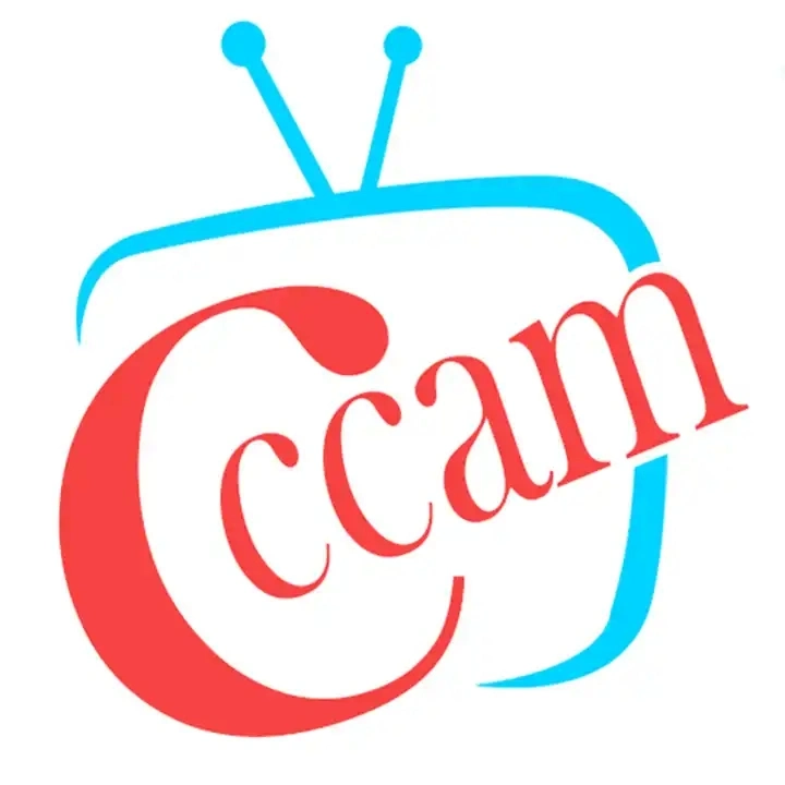 New Europe Egygold Cccam Satellite TV Receiver Stable Server 8 Lines Oscam Cccam Clines Europe Spain Portugal Poland Cccam Oscam