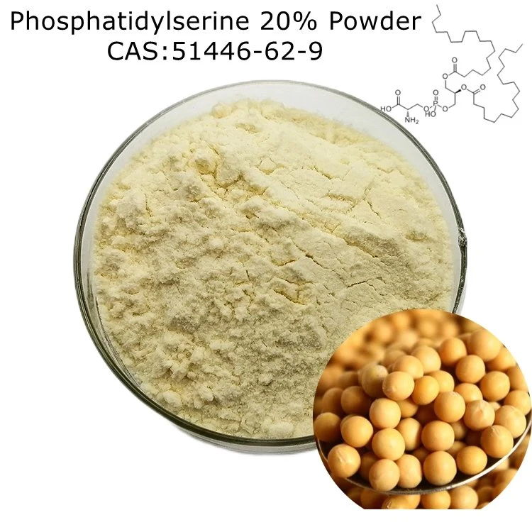 High Quality Health Supplements 20% Phosphatidylserine (PS) Powder