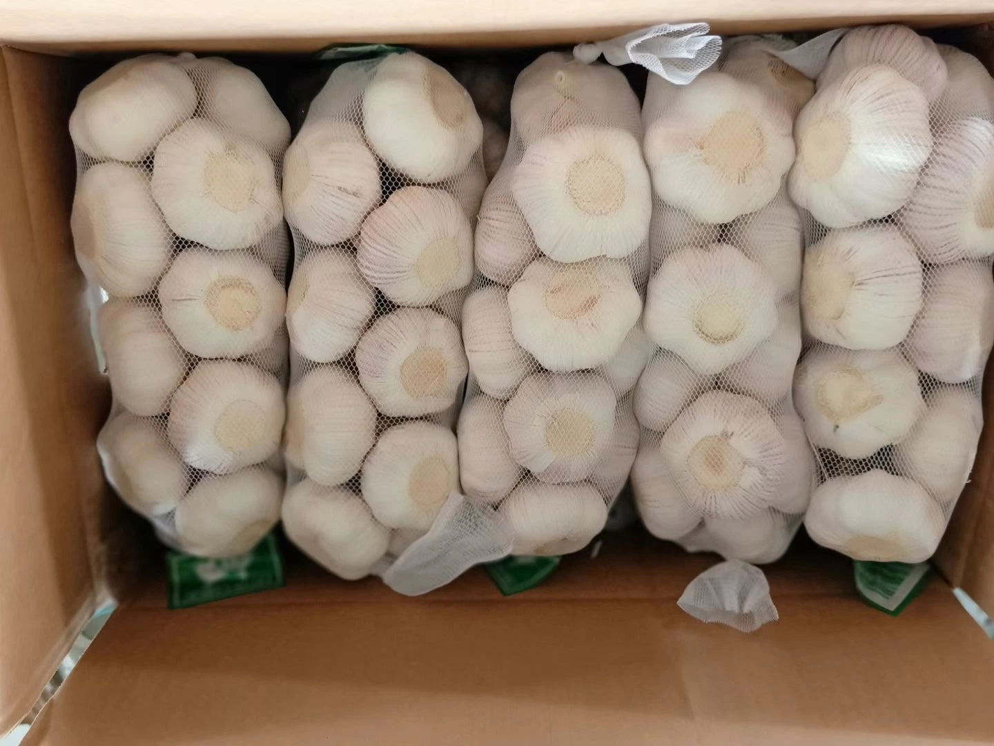 Chinese Normal Pure White Garlic with Bag/ Carton Packing