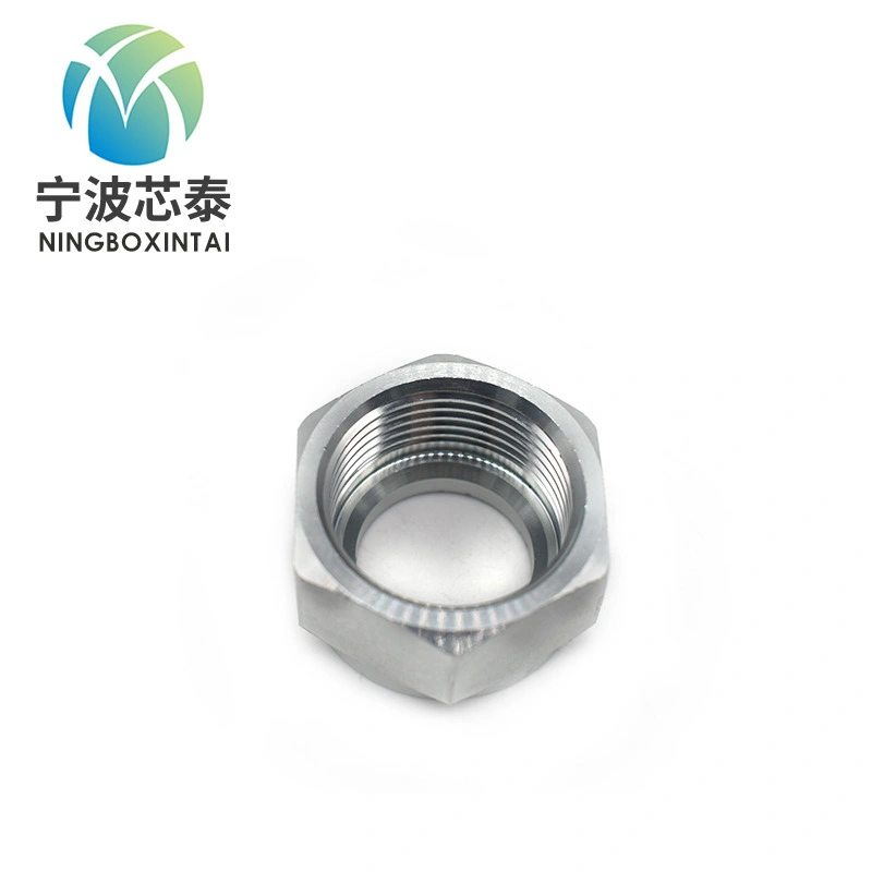 Carbon Steel Through Hole Withstand Voltage Head Full-Hex Rivet Nut