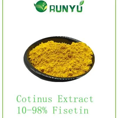 Горячий продавать продукт Fisetin 98% Cotinus Coggygria извлечения Fisetin 50%