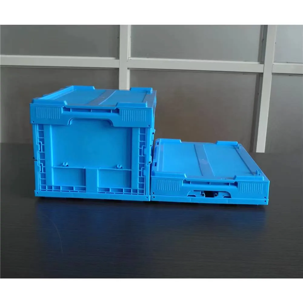 Longshenghe Organizer Boxes Toolbox Plastic Packaging Boxes