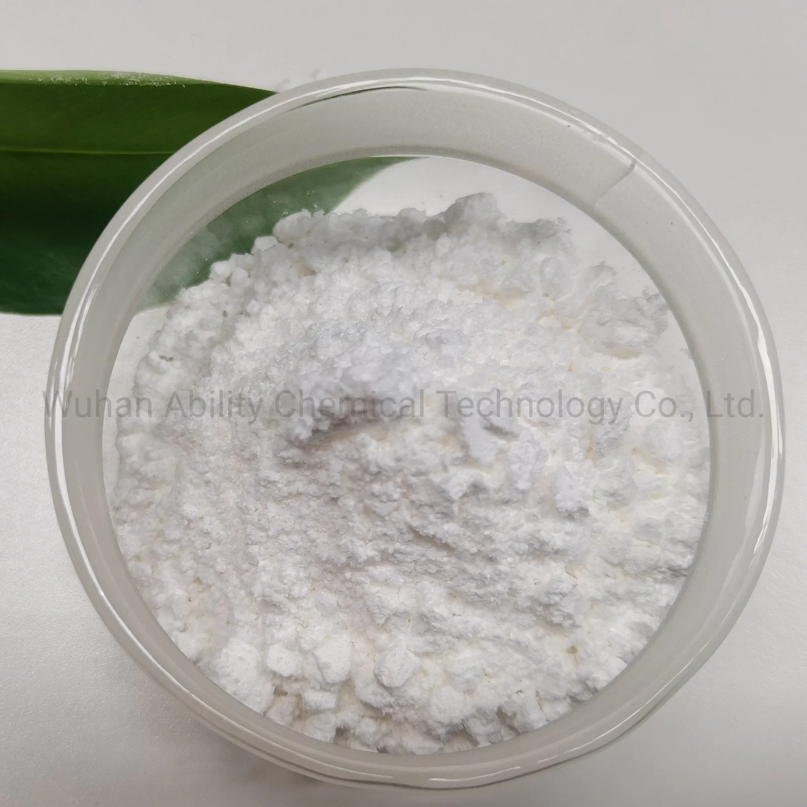 L-Carnosine CAS 305-84-0 for Anti-Wrinkle and Anti-Aging Series