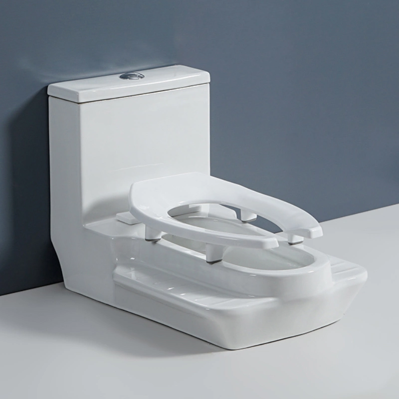 New Two Functions Squatting Pan Toilet with Platform Water Tank with Shallow Bathroom Sinks Faucet Ceramic Squat Pan