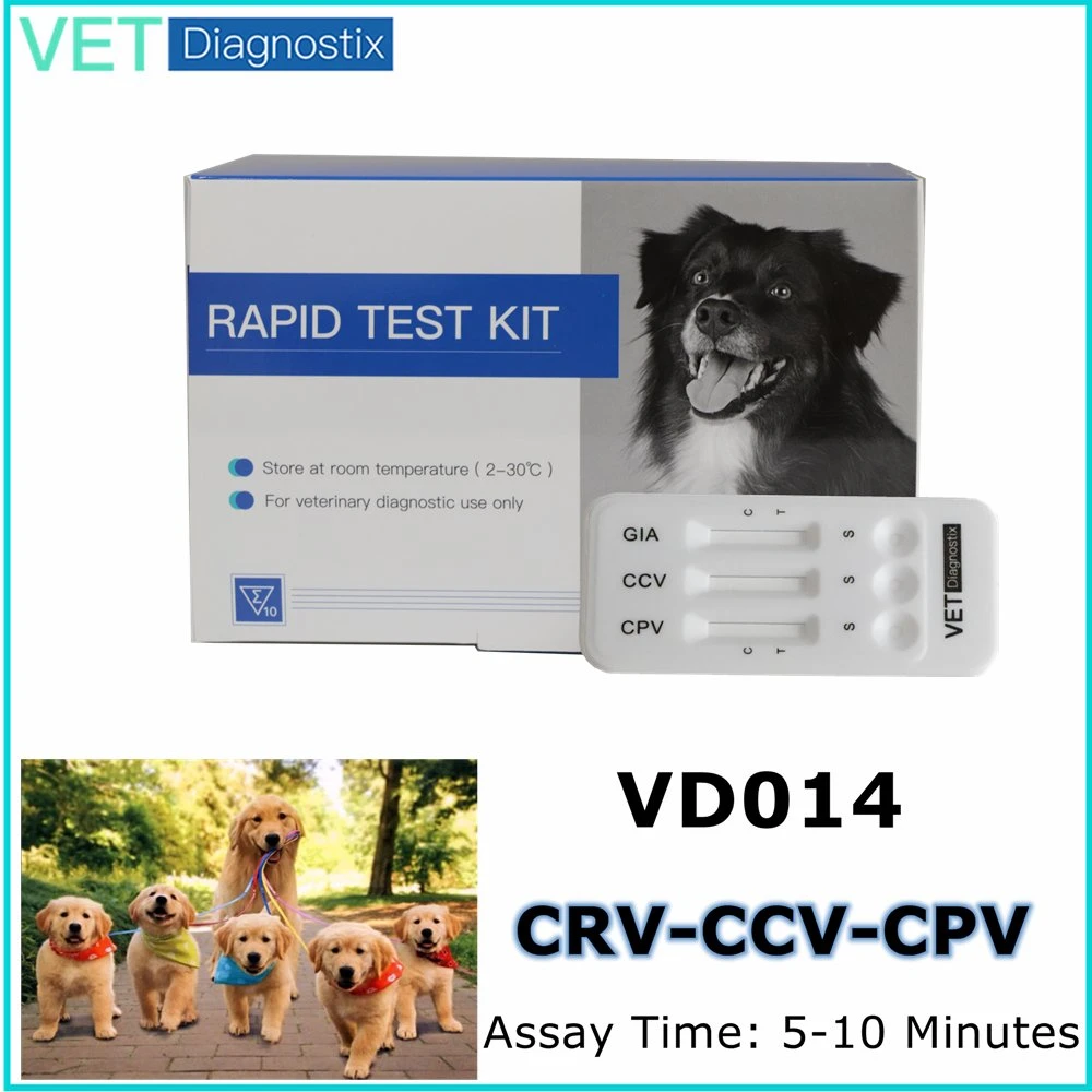 عيادة الحيوانات الأليفة الطبية البيطرية CPV + CCV +Giardia AG الثلاثية اختبار سريع