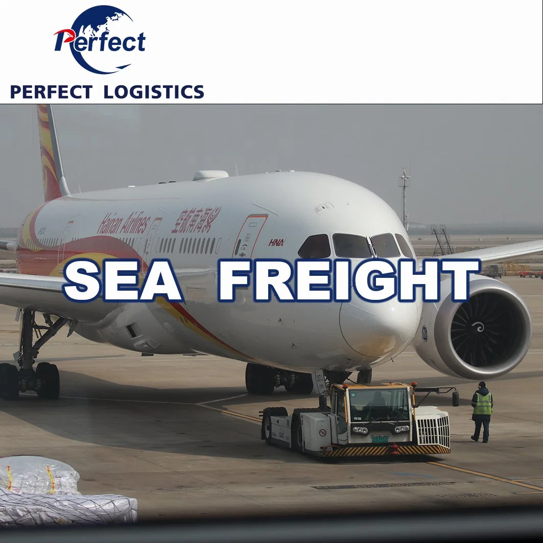 Despachante de frete/Agente de expedição/Transporte marítimo de mercadorias/Transporte aéreo/Expresso da China para o mundo inteiro