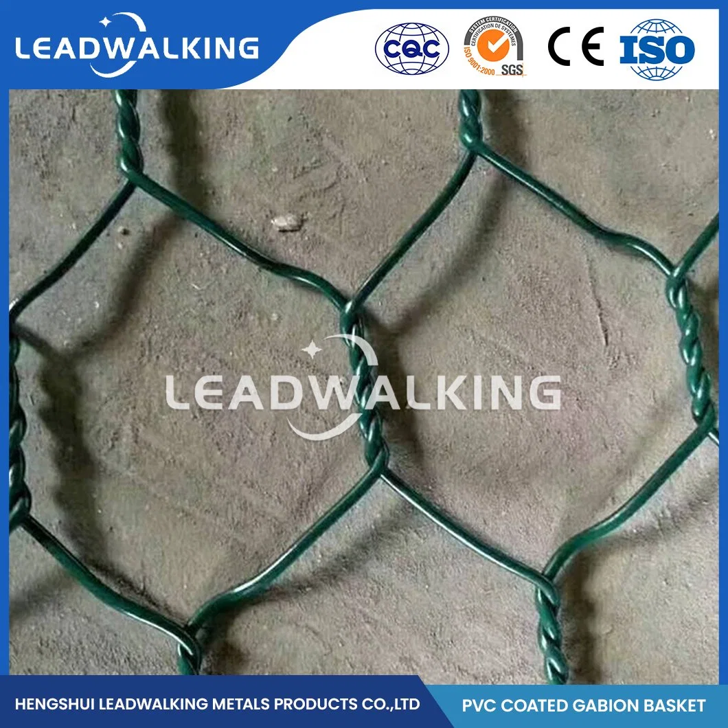 Leadwalking 4.0*1.0*0,5 Size Gabião Caixa de gaiola ios de fábrica 9001 de malha de arame Hexagonal com revestimento de PVC China 80x120mm PE Gabião Net
