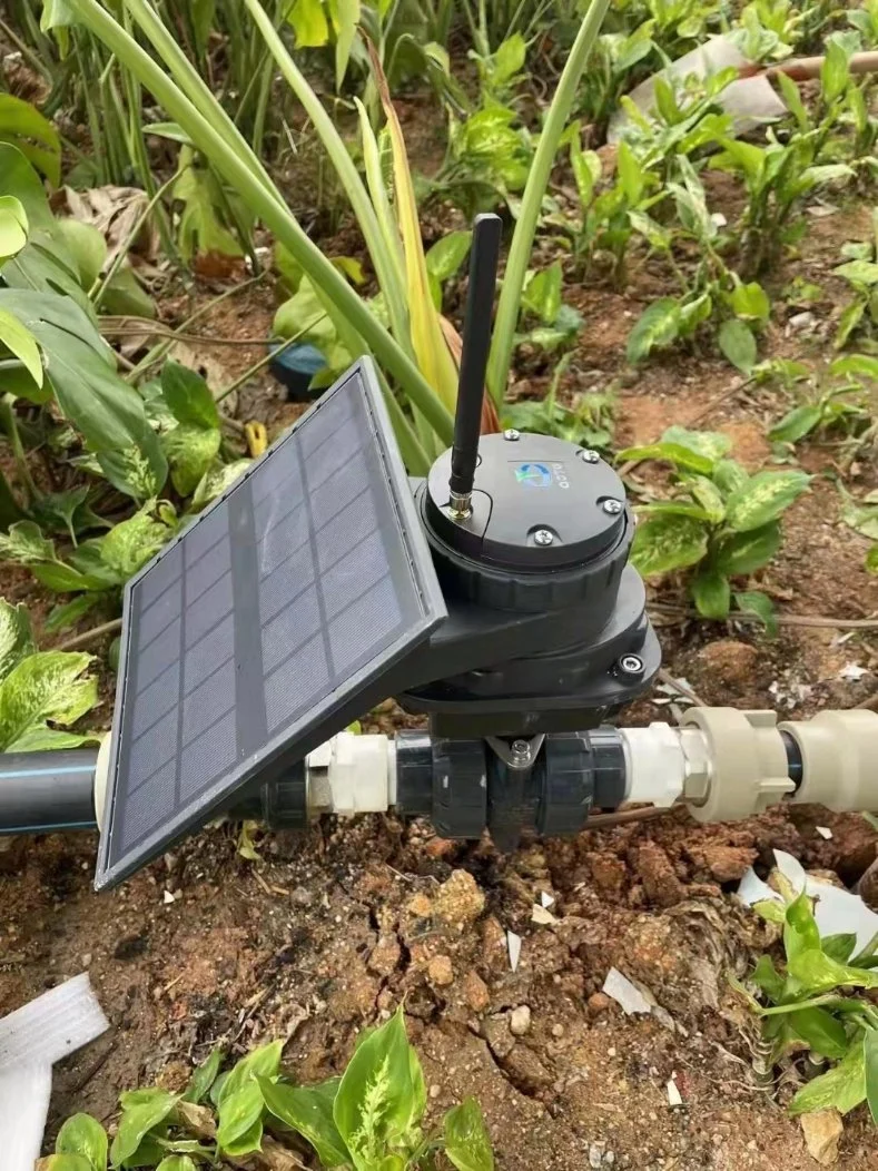 Broccoli Iot Lora Vegetable Drip Irrigation System with Solar Powered Water Valve