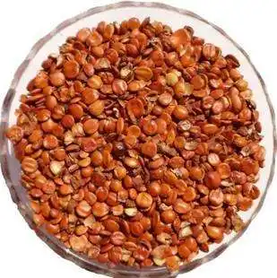 Chinese Wild Jujube Seed Extract Powder 2% Jujubosides Powder Best Price Free Sample