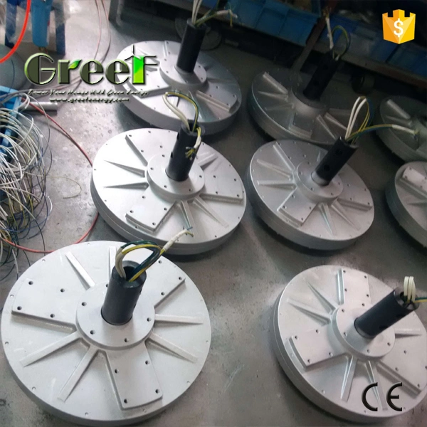 3kw Axial Flux Coreless Permanent Magnet Generator for Wind Turbine