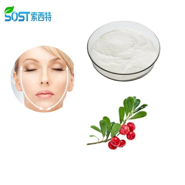 Cosmetic Raw Material Skin Glowing 100% Pure Alpha Arbutin Powder