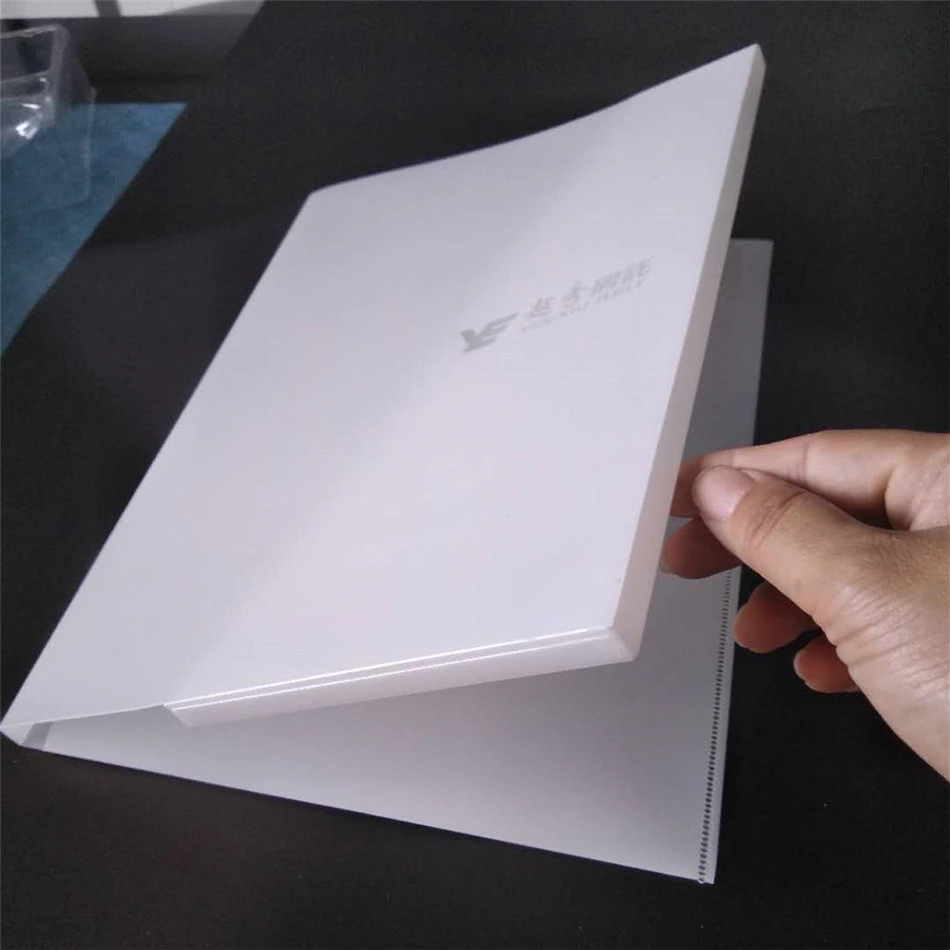 2020 transparent clear file holders A4 frosted PP document file holders