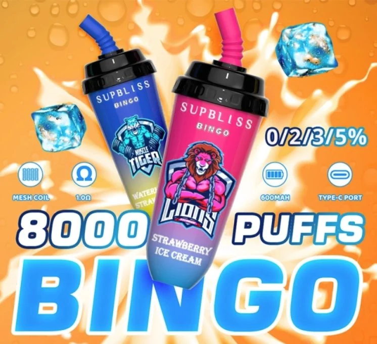 2023 Hot Selling Randm Supbliss Bingo 8000 Puffs 0% 2% 5% Nikotin Einweg-Vape Pen Einweg-Vape