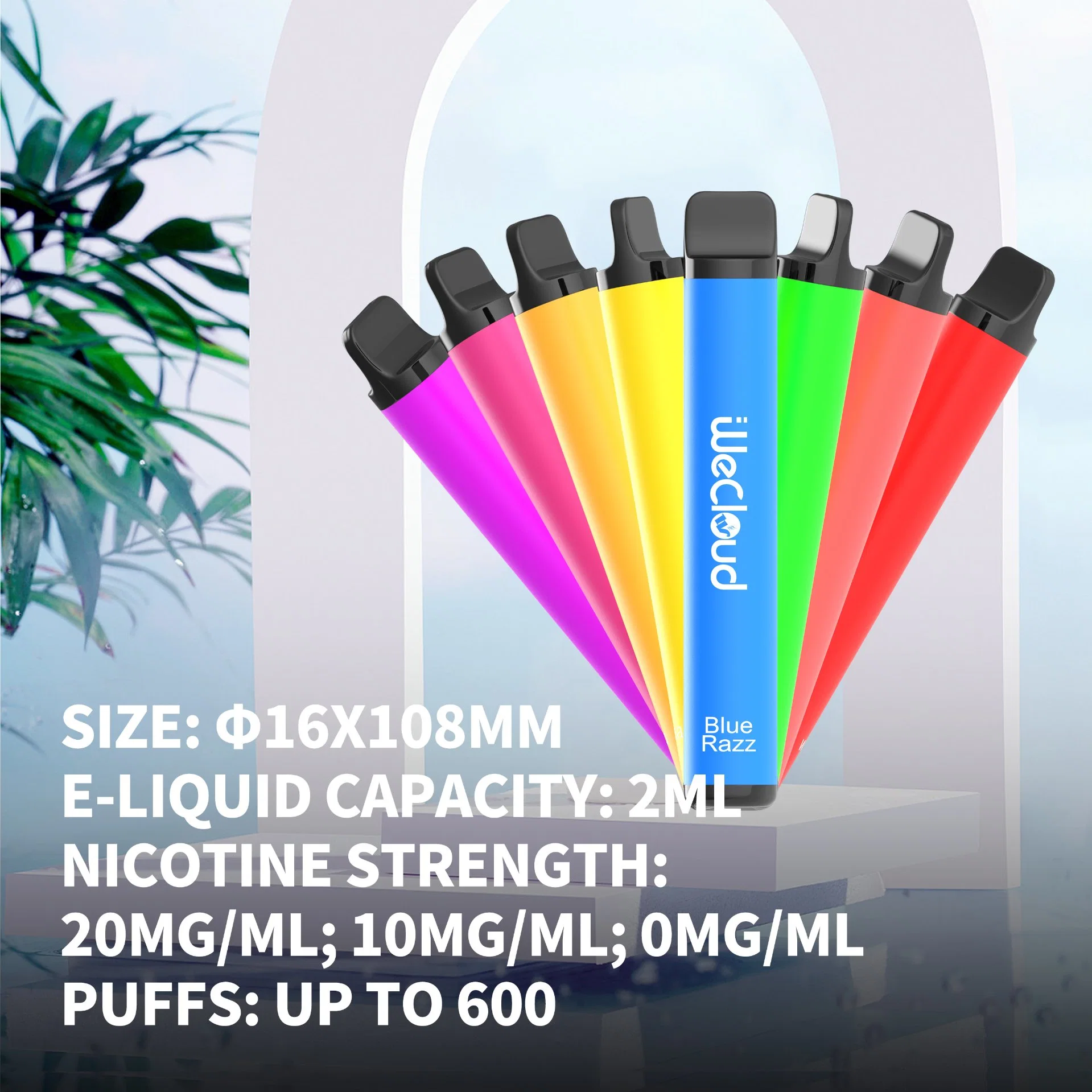 Wecloud Vape le plus récent E-cigarette fournisseur Vecee vaporiseur Vente en gros jetable VAPE Pen Pods 2ml liquide 600 Puffs E-cigarette pour européen Pays