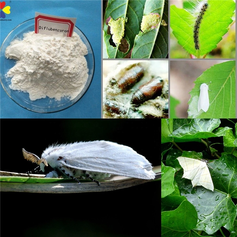 Agriculture Chemical Insecticide Pesticide Pest Control Pymetrozine 50%Wg