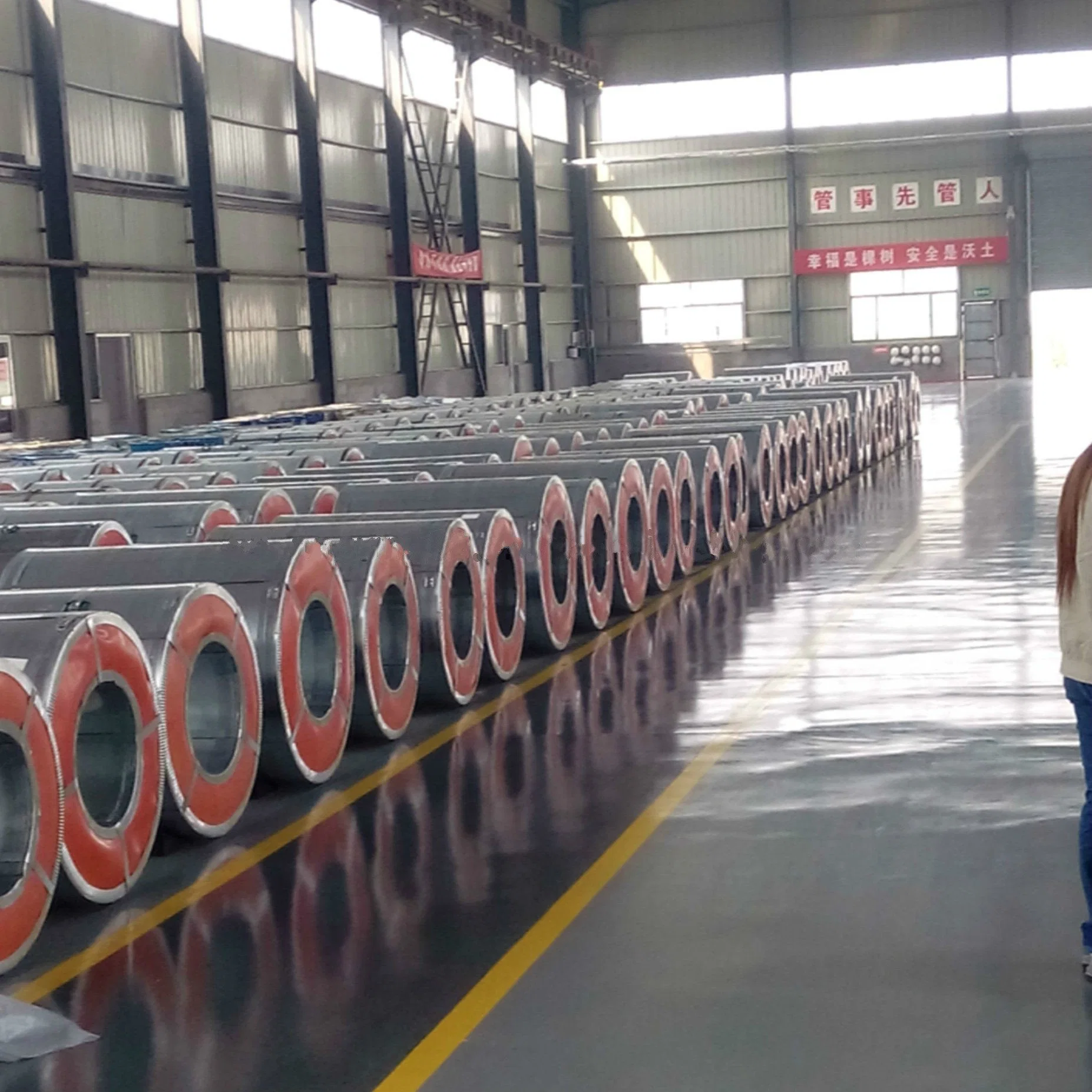 Good Quality Hot Dipped Galvanized Steel Coil