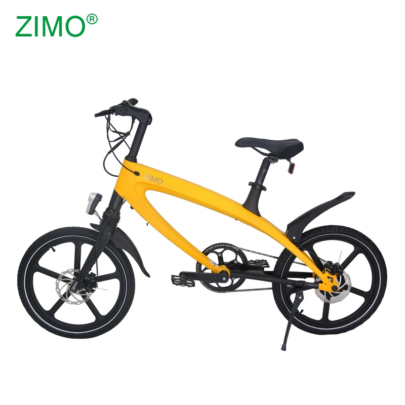 20Inch Fat Electric Moped Scooter Electric Dirt Bike E-Bike