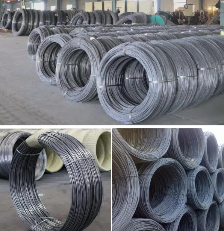 0.9mm 1.25mm 1.6mm Sch80 Ss400 S235jr Q345 Q195 Construction Hot Rolled Galvanized Low Carbon Steel Wire Rod Black Annealed Wire