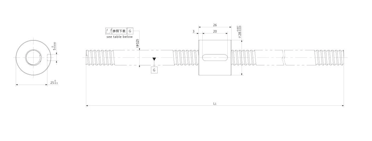 Kgg Linear Motion Ball Screws for Optoelectronic Machinery (TXM Series, Lead: 3mm, Shaft: 12mm)