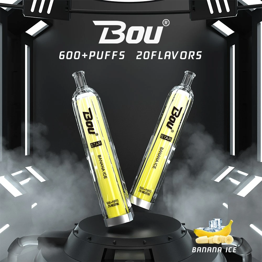 Original Bou 600puffs Disposable Vaporizer OEM ODM Flavors Available Thick Oil Vape Pen Electronic Cigarette