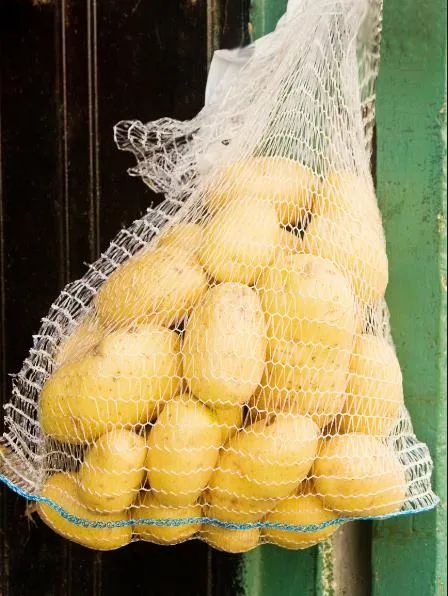 Packing Rolls Vegetable Potato Onion China 50X80 Mesh Bag Net