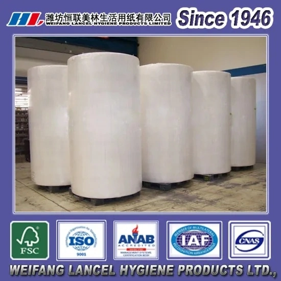 China Factory Virgin Raw Material for Making Tissue Paper/Toilet Paper Jumbo Mother Roll for Converting