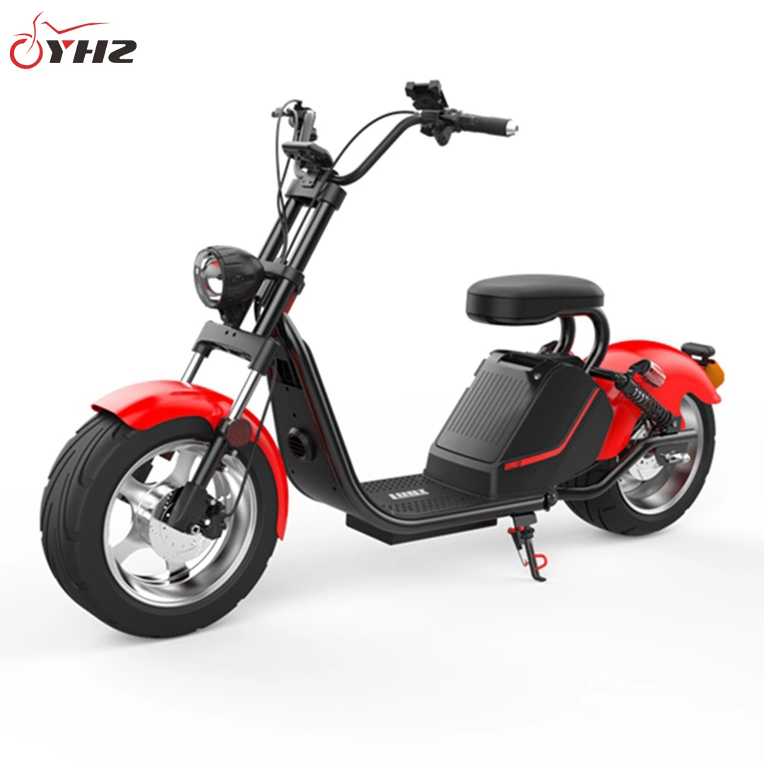 EEC 3000W Fat Tire Electric Motorcycle