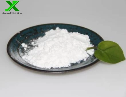 CAS 107-43-7 High Purity 99% Manufacturer Supply Glycine Betaine Powder