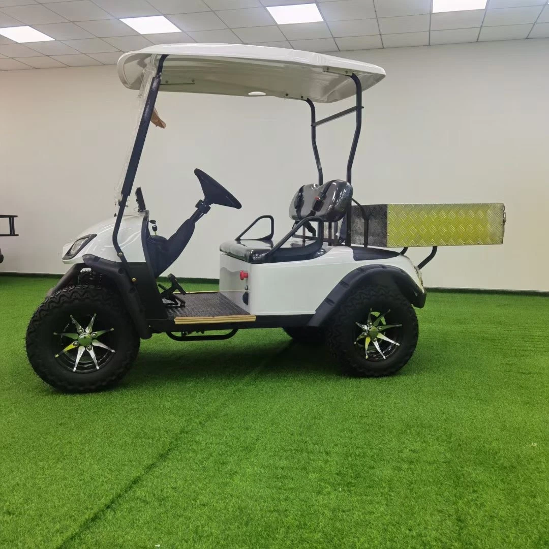 72V AC Motor de litio batería de utilidad eléctrica Golf Cart Truck Vehículo con caja de carga