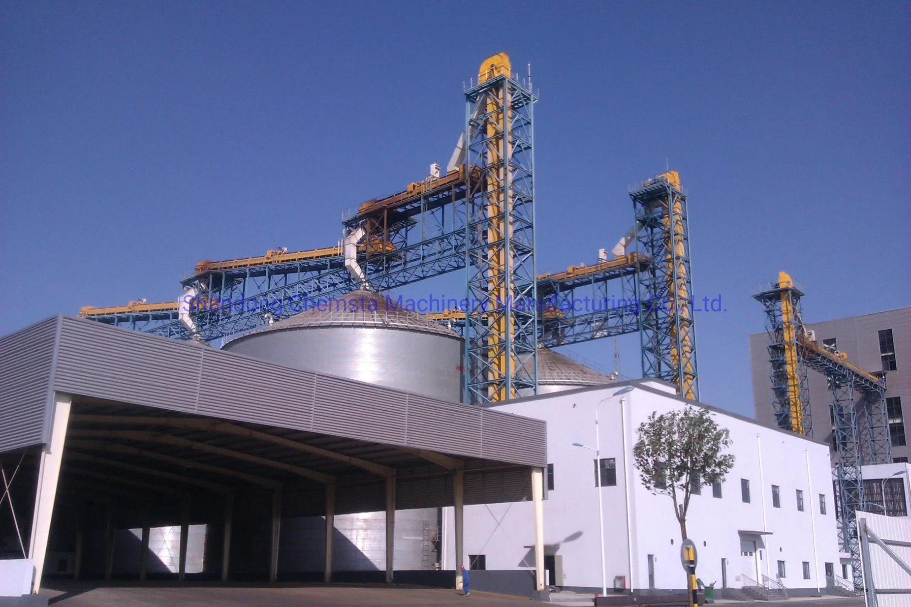 1200t/D Oilseed Processing Plant with High Quality