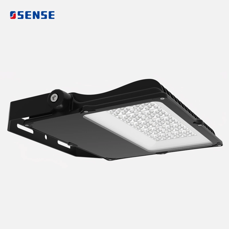 Whole Family LED Floodlight 30W 50W 80W 100W 120W 150W 200W 240W Lighting LED Sports Flood Light