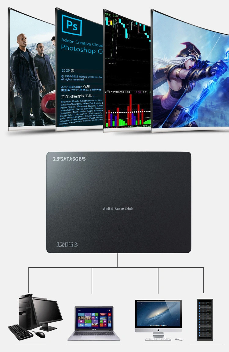 1tb Double 500MB/S SSD High Speed Internal Hard Disk