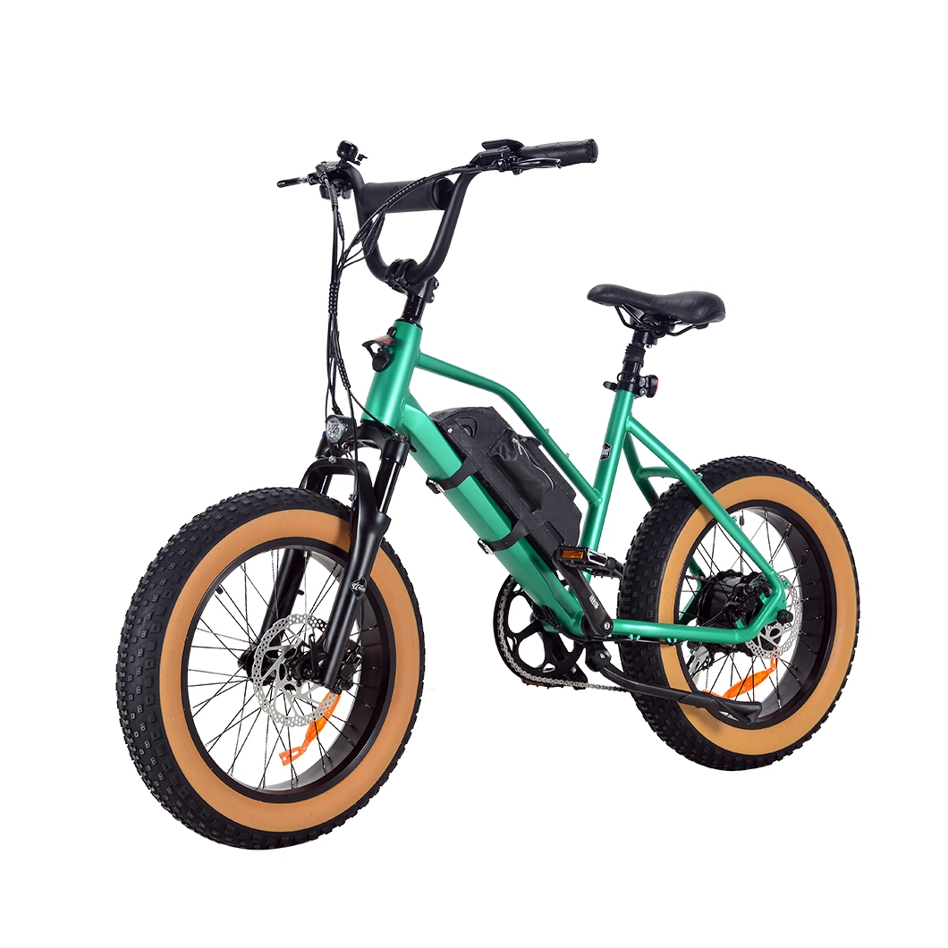 Lindo Ebike con la suspensión de la horquilla delantera 500W 350W motorizado sin escobillas Bicicleta eléctrica