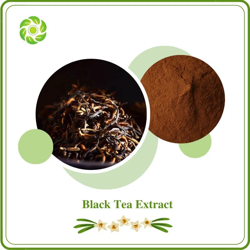 World Well-Being Biotech ISO&FDA Certified Natural Plant Extract Tea Polyphenols 10%-20%Theaflavins 20%-60% Instant Black Tea Extract