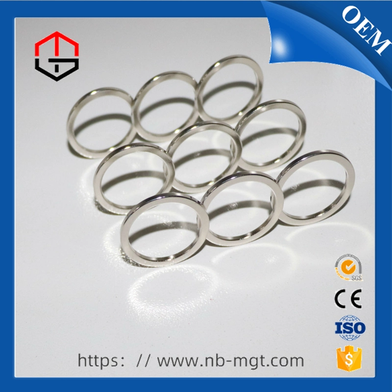 NdFeB Sintered Rare Earth Permanent Neodymium Ring Magnet for Earphone & Headphone Accessories