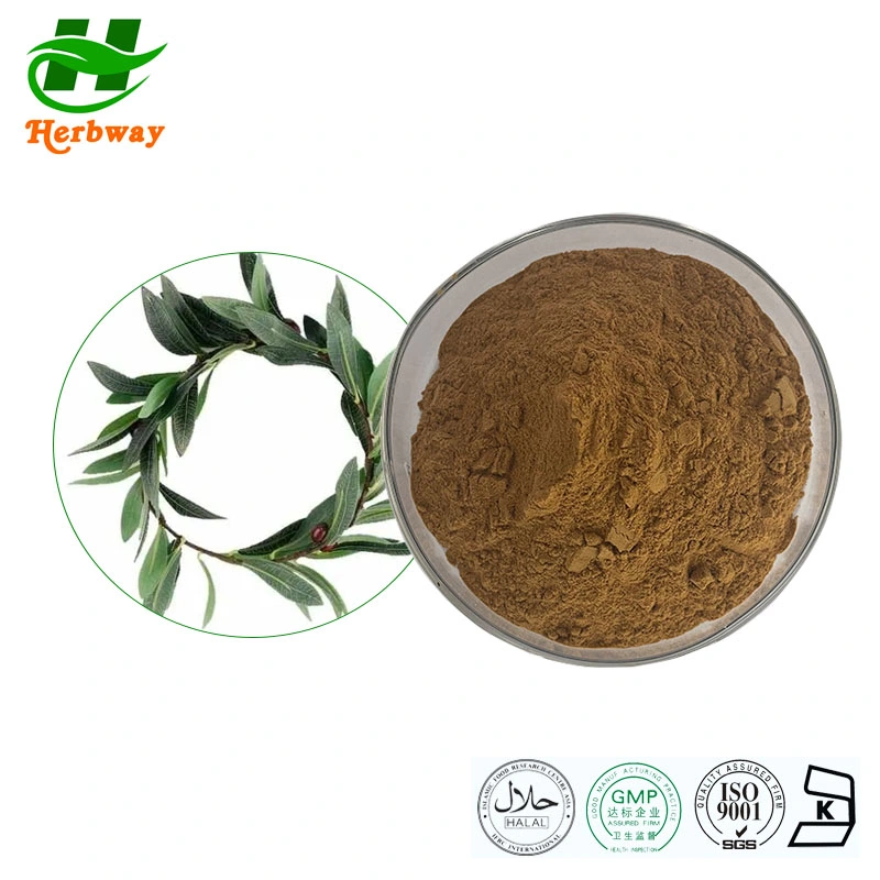 Herbway China Supplier High quality/High cost performance  Competitive Pirce 20% Hydroxytyrosol Olea Europea L Olive Leaf Extract Natural Supplements