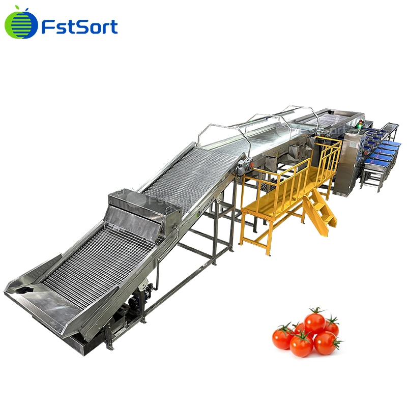 Cherry Tomatoes Grading Sorting Machine Adjustable Size Roller Classifier Cherry Tomatoes Processing Equipment