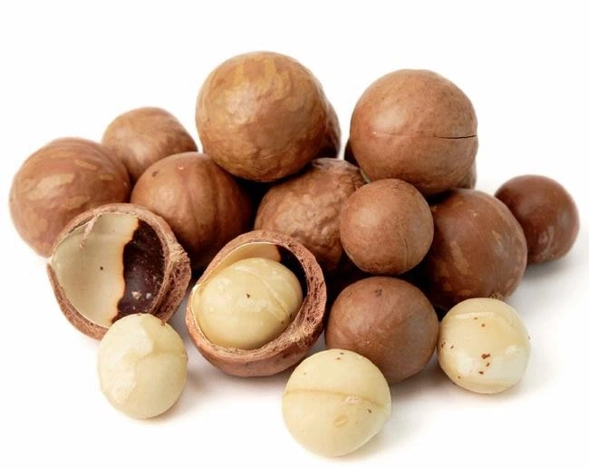 Macadamia Nuts Full Kernel Big Size 25mm+ 2023new Crop Top Quality