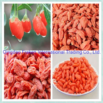 Dried Wolfberry / Goji Berry / Dried Goji