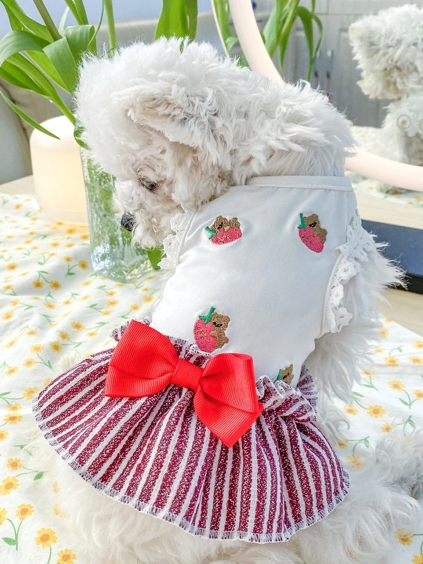 Gato de mascotas Bichon Bomi Verano Princesa Falda de oso de yute Teddy cachorros perro ropa fina