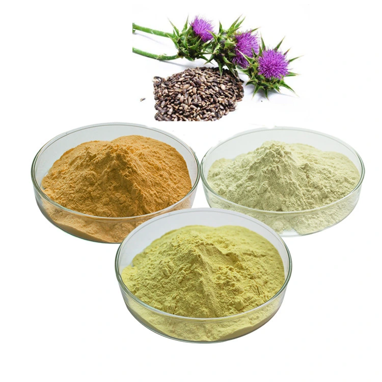 Best Milk Thistle Extract Silybum Marianum Extract CAS No. 84604-20-6