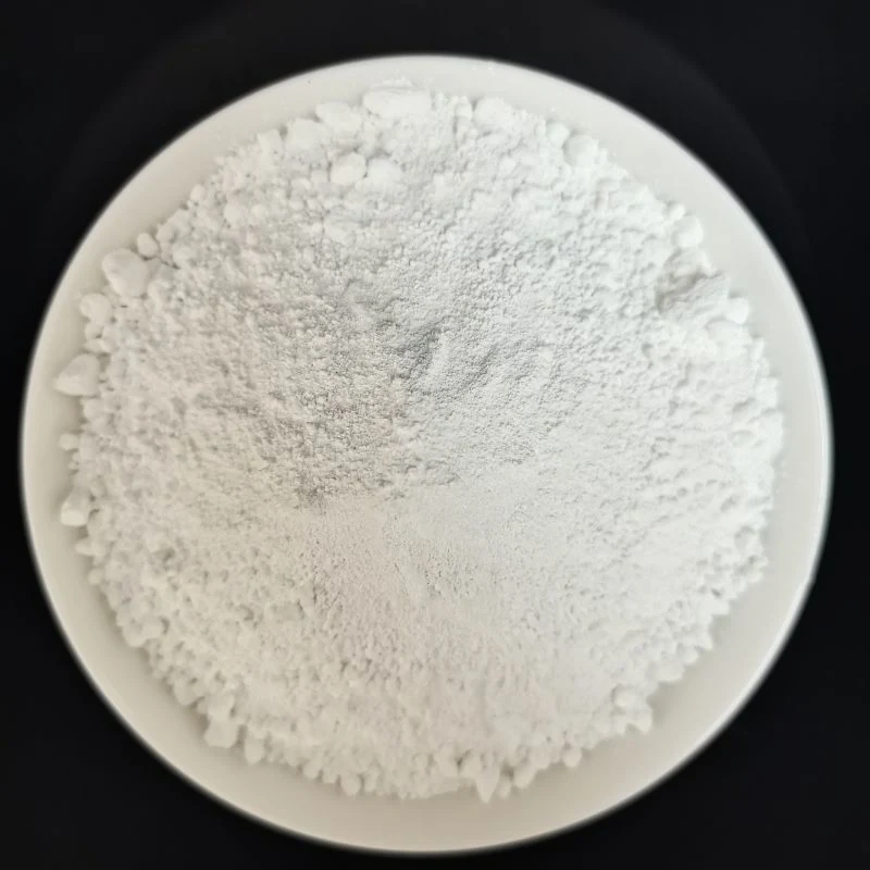 High quality/High cost performance  Titanium Dioxide Casa 13463-67-7 TiO2 Powder Chinese Good Priceindustrial Grade