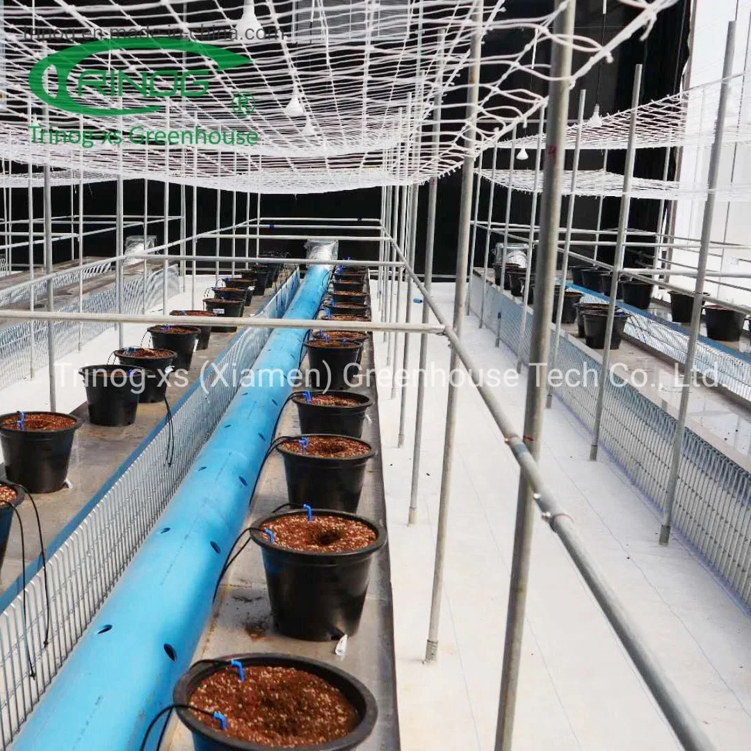 Trinog Greenhouse climate controlled fully automated light depth screen system green house for herb plant