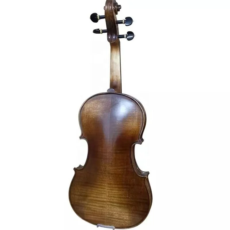 Componente eletrônico Arcos de ébano 4/4 Professional violino