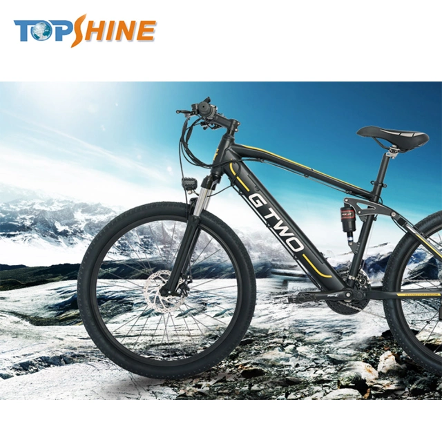 250W 36V Mountain Electric Bike with CE En15194 Certificate and GPS Colorful Odometer E Message