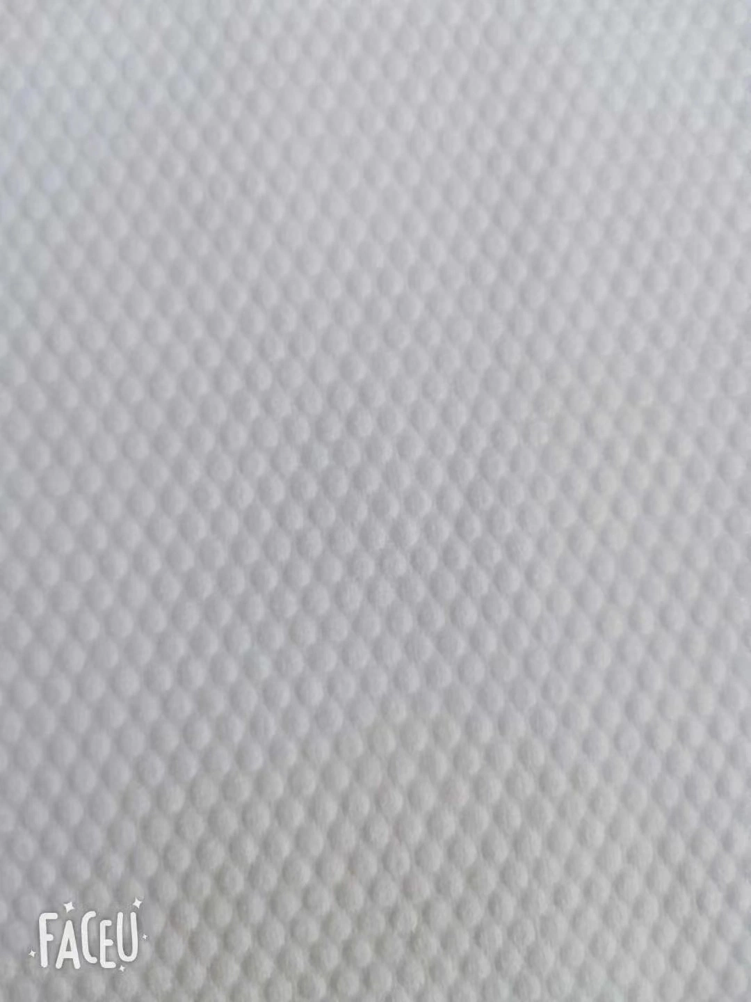 Spunlace Non Woven Fabric Non Woven Raw Material for Wet Dry Tissue